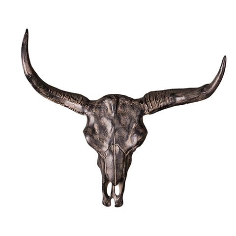 Череп буйвола