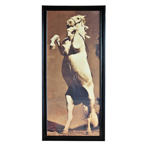 Картина Лошадь Стенли