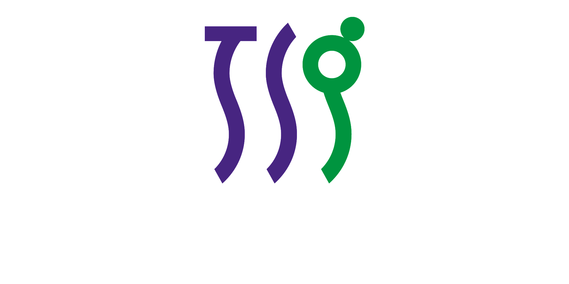 TOYO SASAKI GLASS