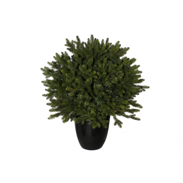 Декоративная ель